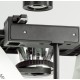 Microscopio invertito KERN OCM-1